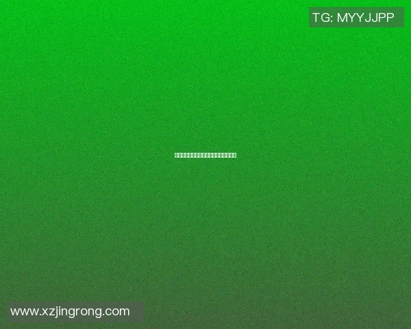 篮球巨星的辉煌成就与荣誉解读全景展示