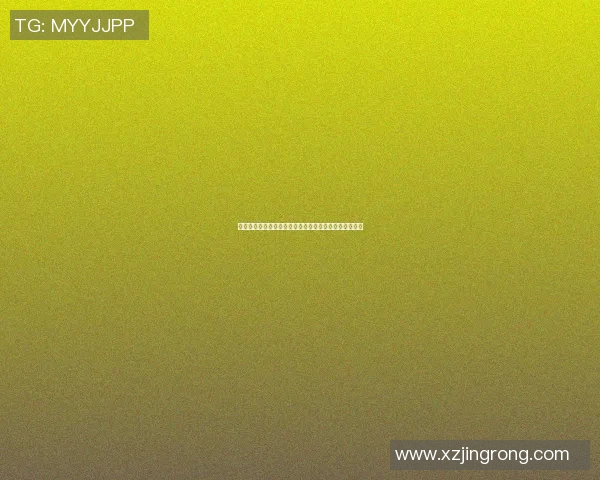 篮球明星中身高最矮的运动员如何在赛场上创造辉煌成就